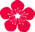 red cherry blossom icon